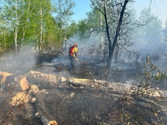 Успешно ликвидирован лесной пожар в Мильковском лесничестве на Камчатке 1