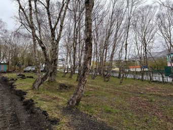 Начался первый этап благоустройства парка «Электрон» в столице Камчатки 1