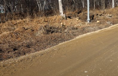 Ремонт переходного покрытия дорог местного значения ведётся в посёлке Раздольном на Камчатке 4 Ремонт переходного покрытия дорог местного значения ведётся в посёлке Раздольном на Камчатке 4