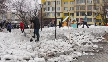 Общегородской субботник состоится 22 мая в микрорайоне Завойко Петропавловска-Камчатского