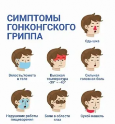 Гонконгский грипп путешествует по Камчатке 0