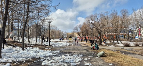 Петропавловск-Камчатский участвует во всероссийской акции «Мы за чистоту» 8