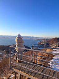 Сотрудничество ВШЭ и КамГУ имени Витуса Беринга продолжится на Камчатке 7