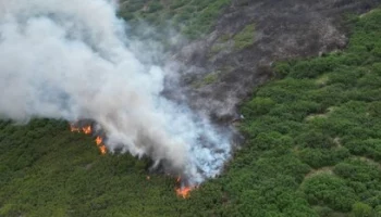 На Камчатке действуют три пожара, два из них локализованы