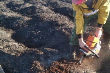 Ликвидирован лесной пожар в Елизовском районе 0