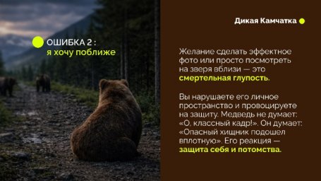 На форуме &laquo;Экосистема. Заповедный край&raquo; презентовали проект &laquo;Дикая Камчатка&raquo; 4