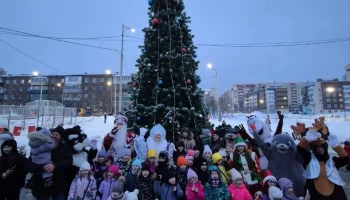 Более двадцати новогодних елок открыли в разных микрорайонах Петропавловска-Камчатского