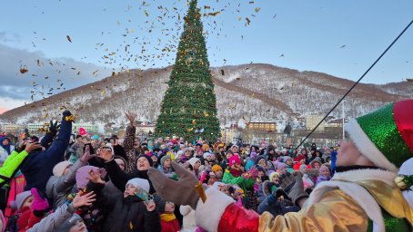 Переносится открытие новогодней ёлки на Пограничной в Петропавловске-Камчатском 5