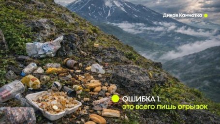 На форуме &laquo;Экосистема. Заповедный край&raquo; презентовали проект &laquo;Дикая Камчатка&raquo; 2