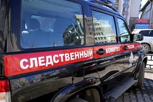 На Камчатке органы следствия проверяют информацию из соцсетей об очередном нападении собаки на ребёнка в Вилючинске