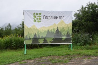 Экологическая акция «Сохраним лес» запущена на Камчатке 10