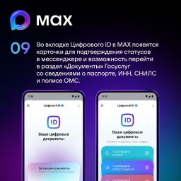 Функция создания цифрового ID в мессенджере MAX стала доступна жителям Камчатки 7