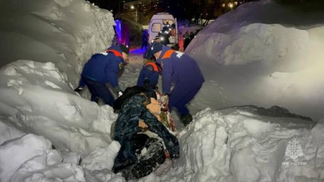 Спасательную операцию провели специалисты в частном секторе Петропавловска-Камчатского 0