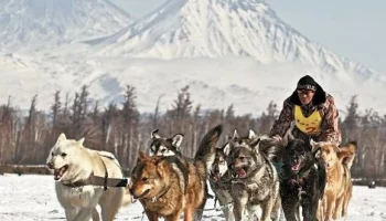 Проезд в Налычевскую долину будет временно закрыт на Камчатке