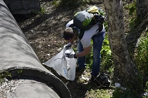 Более 60 мешков мусора собрали в ходе субботников в столице Камчатки