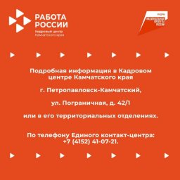 Бесплатно повысить квалификацию или пройти переобучение приглашают на Камчатке 4