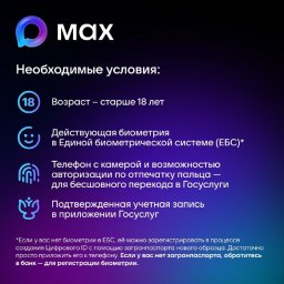 Функция создания цифрового ID в мессенджере MAX стала доступна жителям Камчатки 8