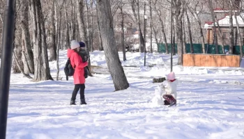 Какие деревья и цветы должны быть высажены в зелёной зоне парка Индустриального, рассказали жители столицы Камчатки Какие деревья и цветы должны быть высажены в зелёной зоне парка Индустриального, рассказали жители столицы Камчатки