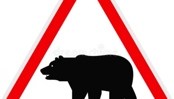 В сентября в столице Камчатки было зафиксировано 24 выхода медведей на территорию города