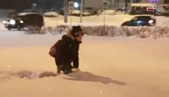 Завтра, 5 декабря, отменены занятия в обе смены в школах Петропавловска-Камчатского