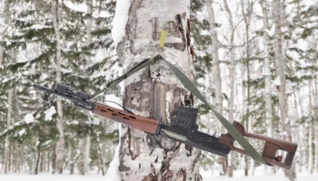 Первого в этом году медведя&ndash;шатуна ликвидировали вблизи села Эссо на Камчатке