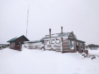Снежным творчеством поделились государственные инспекторы Кроноцкого заповедника на Камчатке 0