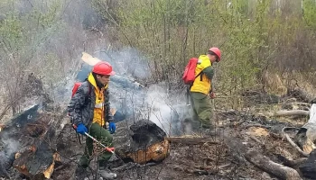 Лесные пожары ликвидированы на Камчатке Лесные пожары ликвидированы на Камчатке
