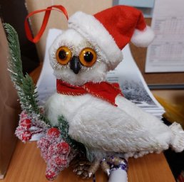 К участию в социальной акции «Заповедный друг» приглашает Кроноцкий заповедник на Камчатке 4