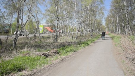 Облик парка на улице Магистральной определяют жители Елизово на Камчатке 0