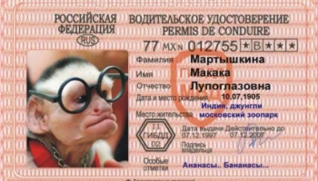 За поддельное водительское удостоверение осужден житель Камчатки За поддельное водительское удостоверение осужден житель Камчатки