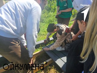 Камчатские школьники продолжают строительство экотропы в парке Ойкумена 2