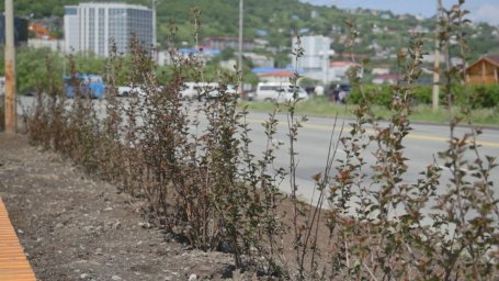 Качелями и скамейками обзаведется набережная Озерновской косы в Петропавловске-Камчатском 1