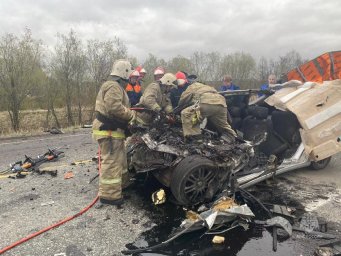 Спасатели извлекли водителя из автомобиля после столкновения с грузовиком на Камчатке 2