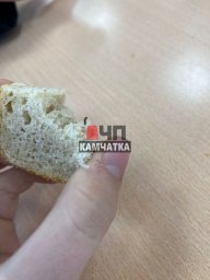 Хлеб с добавкой из насекомых предложили учащимся в школьной столовой на Камчатке 0