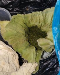 На хранении вещества природного происхождения в крупном размере попался житель Ключей на Камчатке 1