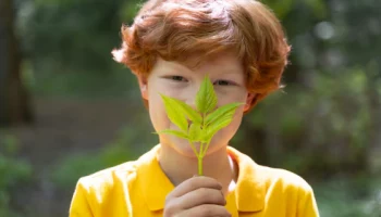 Конкурс &laquo;Юный эколог Камчатки &mdash; 2026&raquo; приглашает принять участие ребят Камчатского края