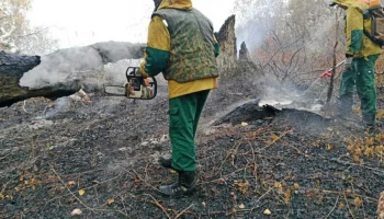 Готовность к пожароопасному сезону подтвердило Федеральное агентство лесного хозяйства Камчатского края