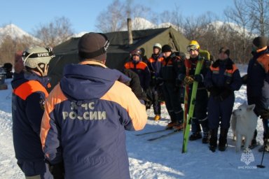 На Камчатке прошли тренировки спасателей по поиску людей в лесу 9