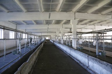 В селе Шаромы завершается подготовка к открытию молочной фермы 3