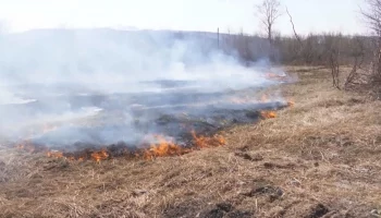 Дети, сжигая траву, чуть не подожгли склад на севере Камчатки