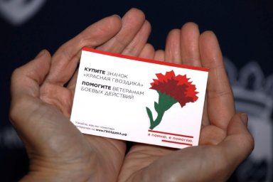 Волонтёры Елизовского района собрали порядка 60 000 рублей для поддержки ветеранов на Камчатке 0