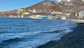 Комплекс мер по стабилизации экосистемы Авачинской бухты реализуют в Петропавловске-Камчатском