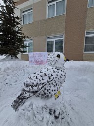 Снежные скульптуры краснокнижных животных украсили дворы на Камчатке 1