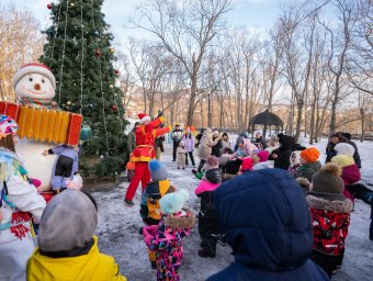 Огни ещё шести праздничных ёлок зажглись в столице Камчатки 1