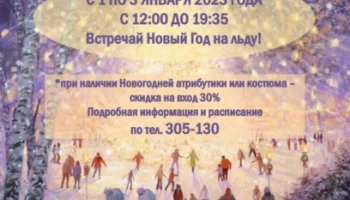 Массовые катания на коньках пройдут в ледовом дворце «Вулкан» столицы Камчатки в праздничные дни