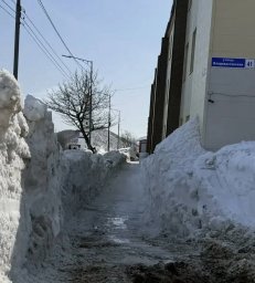 Хроника городского хозяйства: как прошел день в Петропавловске-Камчатском 0