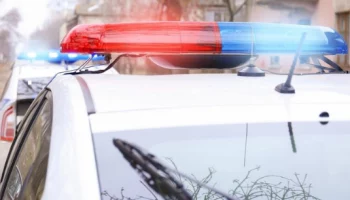 В применении насилия к полицейскому обвиняют жителя Петропавловска-Камчатского