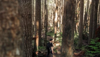 Закладчика отловили в лесном массиве на Камчатке