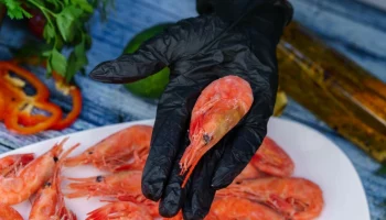 Ученые рекомендовали полностью отказаться от употребления морепродуктов из Авачинской губы на Камчатке