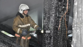 На Камчатке пожарные не допустили распространения огня на лесной массив